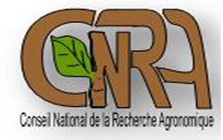 Avis d'Appel à Propositions de Communications