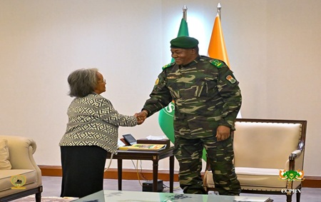 Le Président de la République reçoit la cheffe de mission de la RSI-ONUWAS